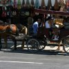 5 dan - Kusadasi-Efez_110